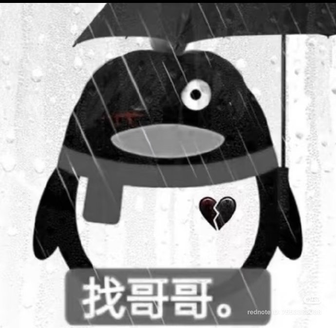 cæli ☀️ tweet media