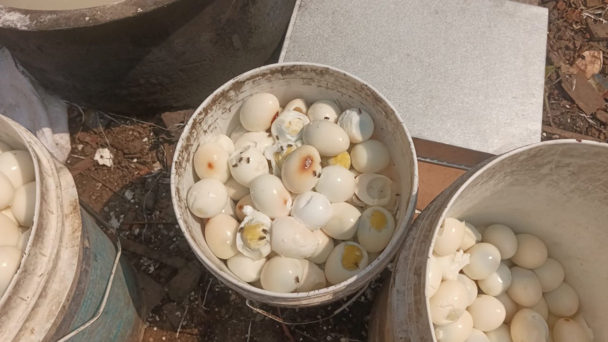 Hyderabad Food Adulteration Surveillance Team tweet media