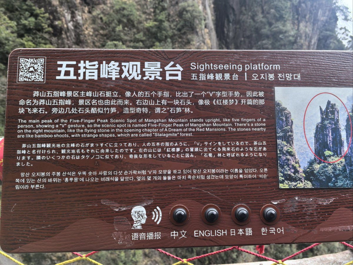 Kira Hinriksen tweet media