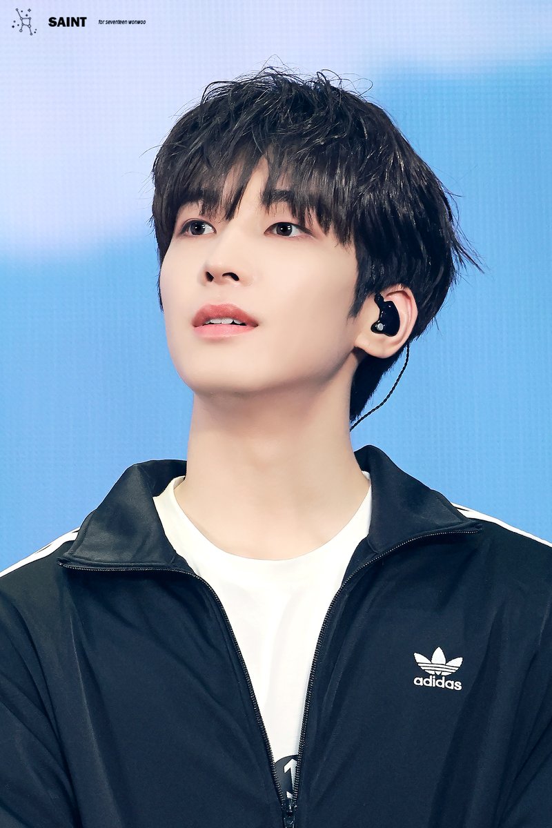 원우😺SAINT 세인트 tweet media