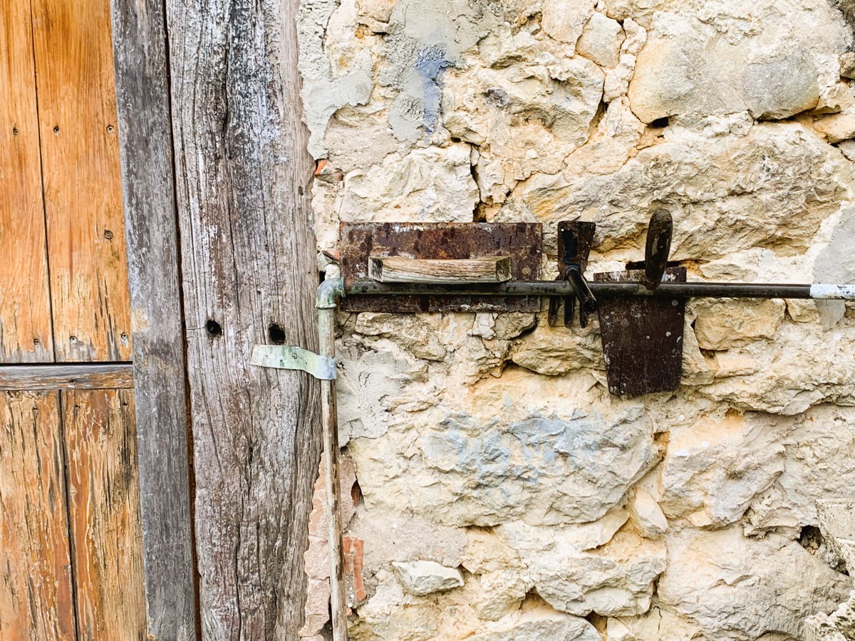 Gabriela tweet media