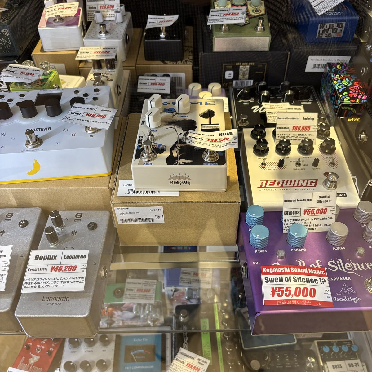 ulcasiva tweet media