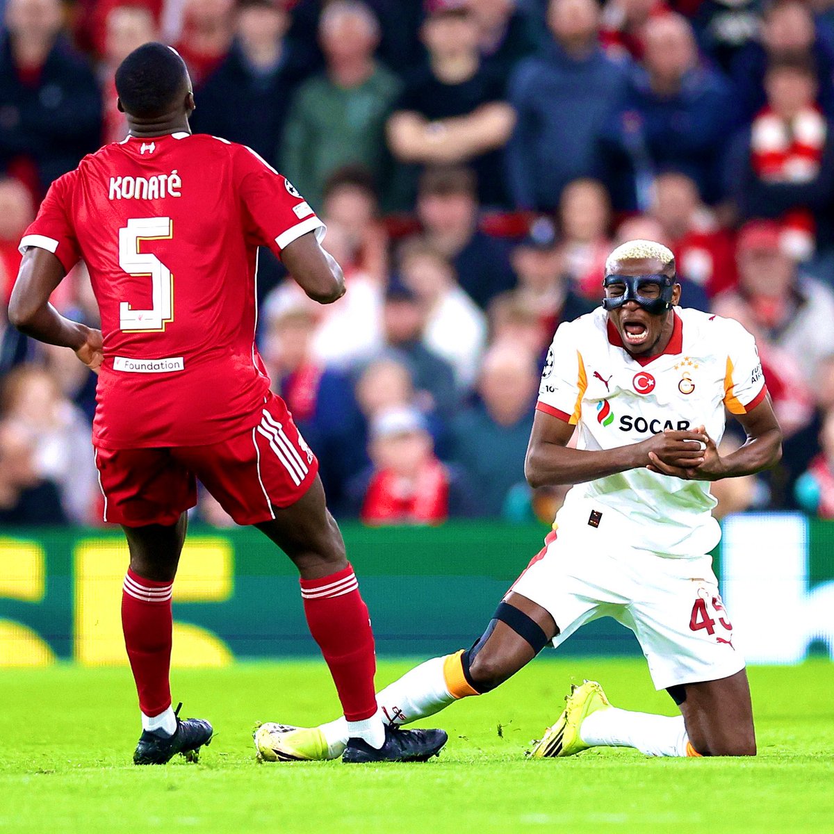 Pusholder tweet media