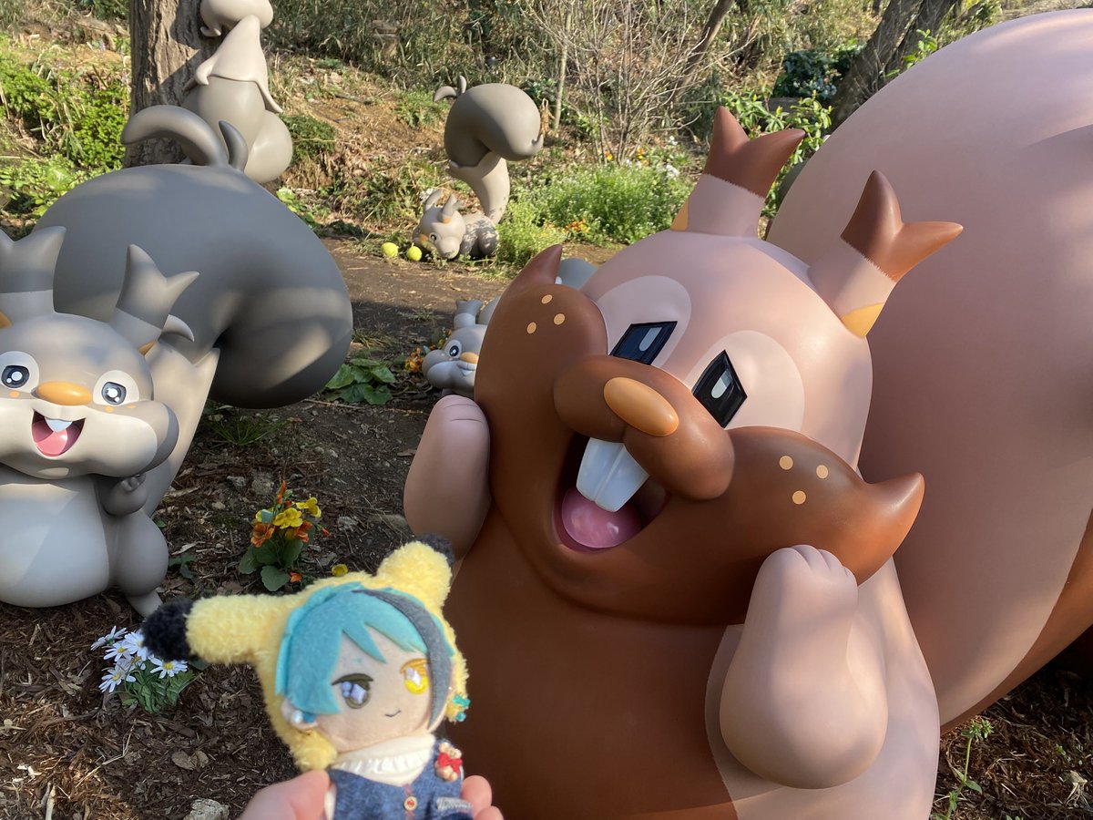 はむはむ🐹 tweet media