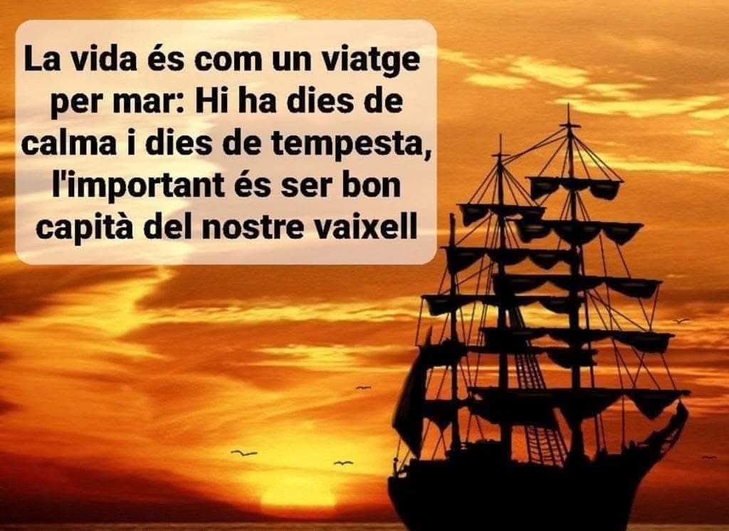 XAG 🦀 tweet media