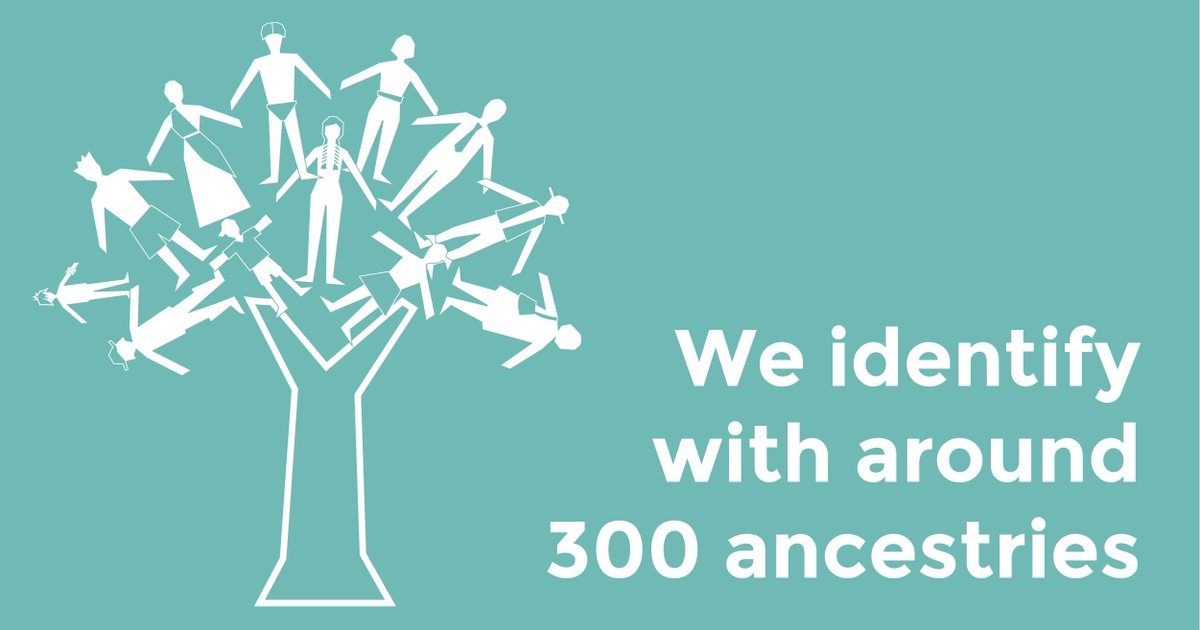 Health Consumers NSW tweet media