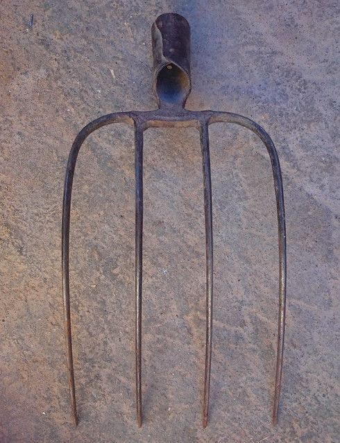 Sweet Nector tweet media