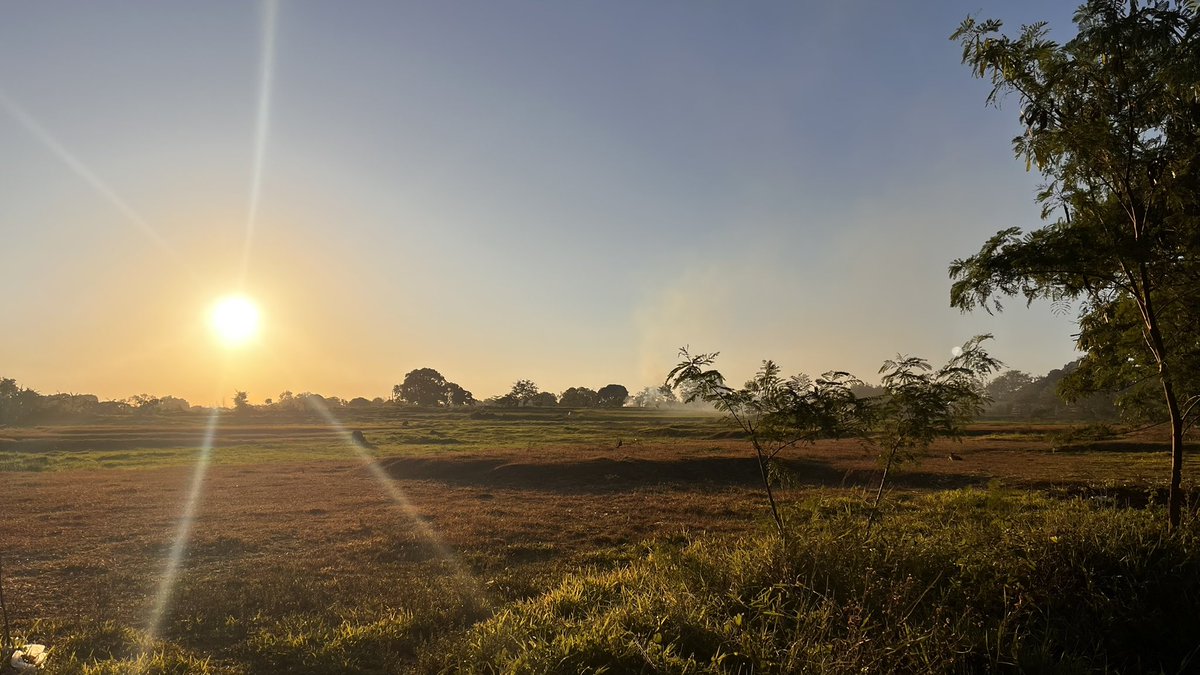 Lati (Heer) tweet media