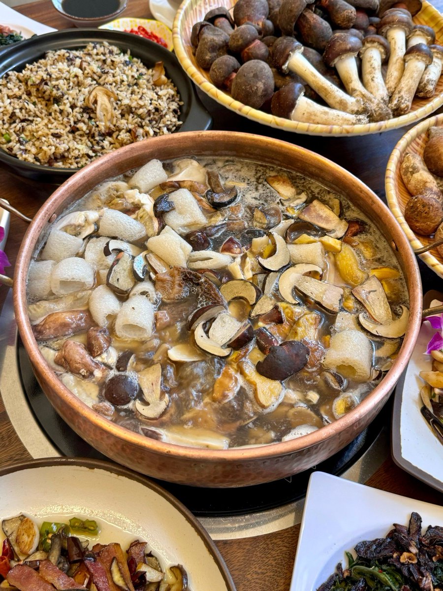 Hasan Çağlar tweet media