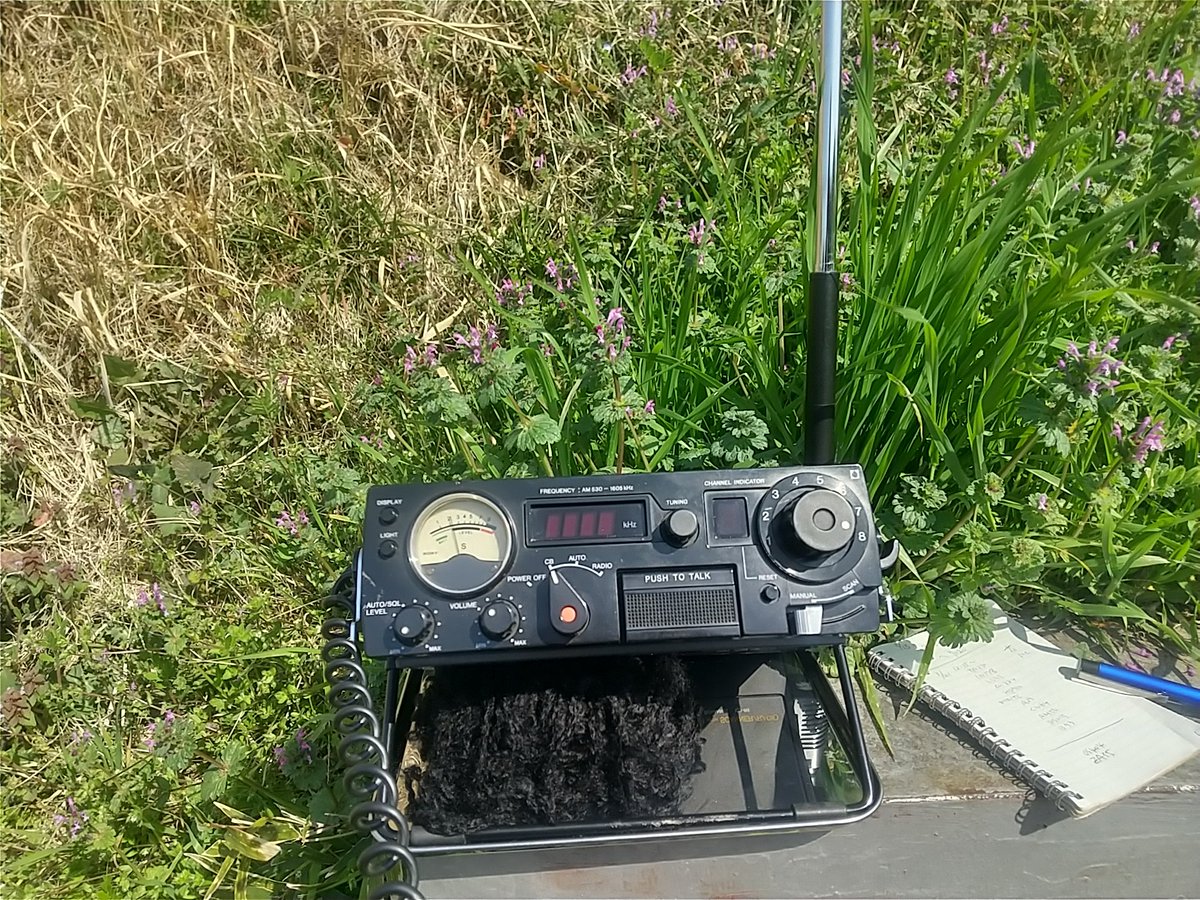 よこはまSH531/JJ1OLH/(Revy) tweet media