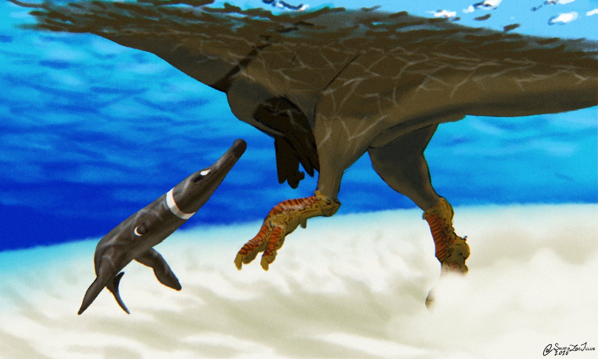 Petite Paleoartist | Sauriazoicillus 🍥 tweet media