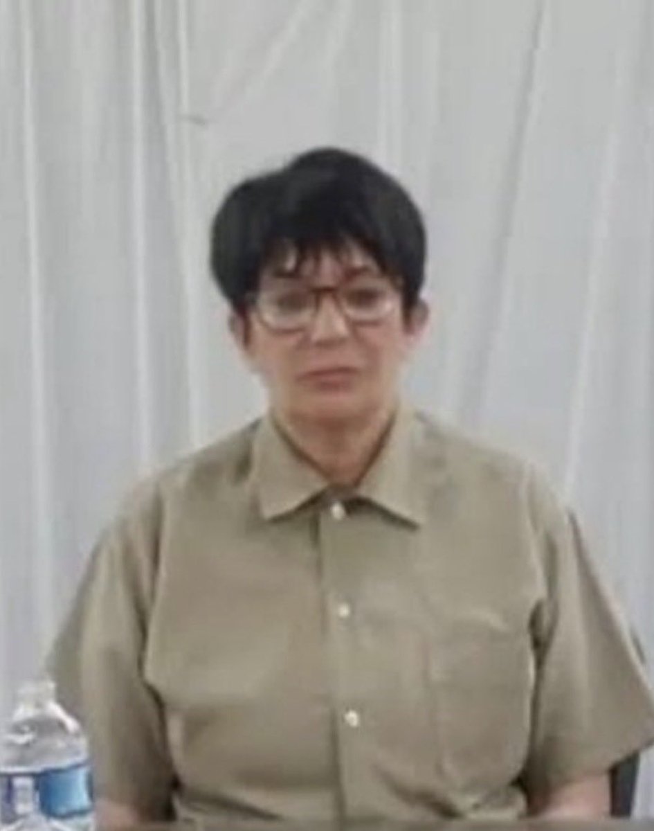 verynormalman tweet media