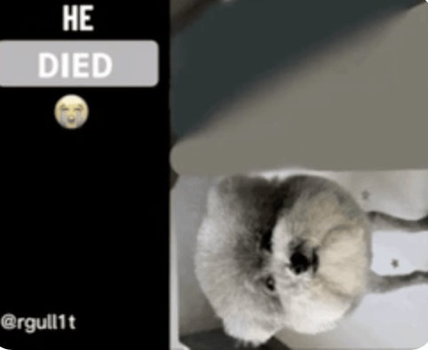 sinisterestbart tweet media