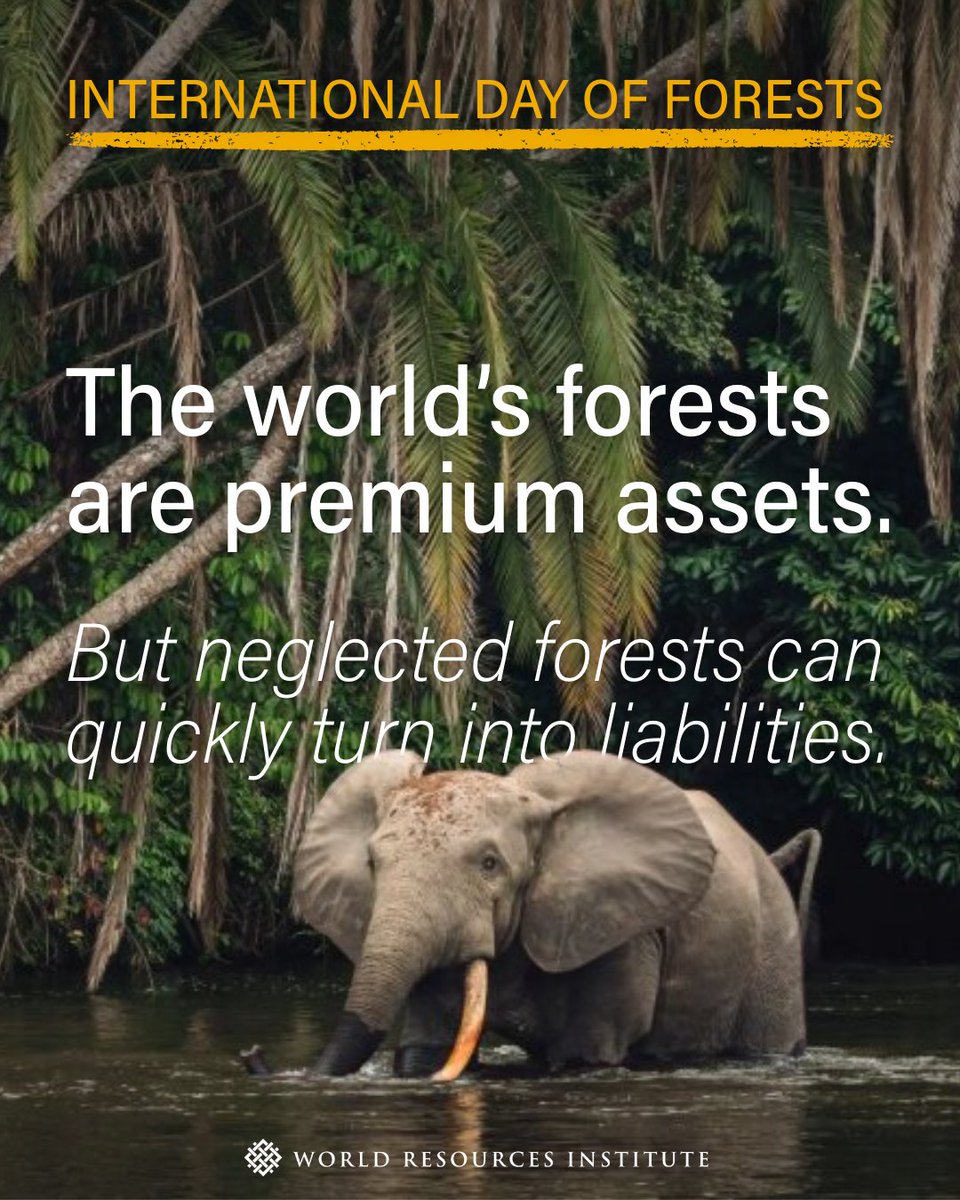 World Resources Institute tweet media