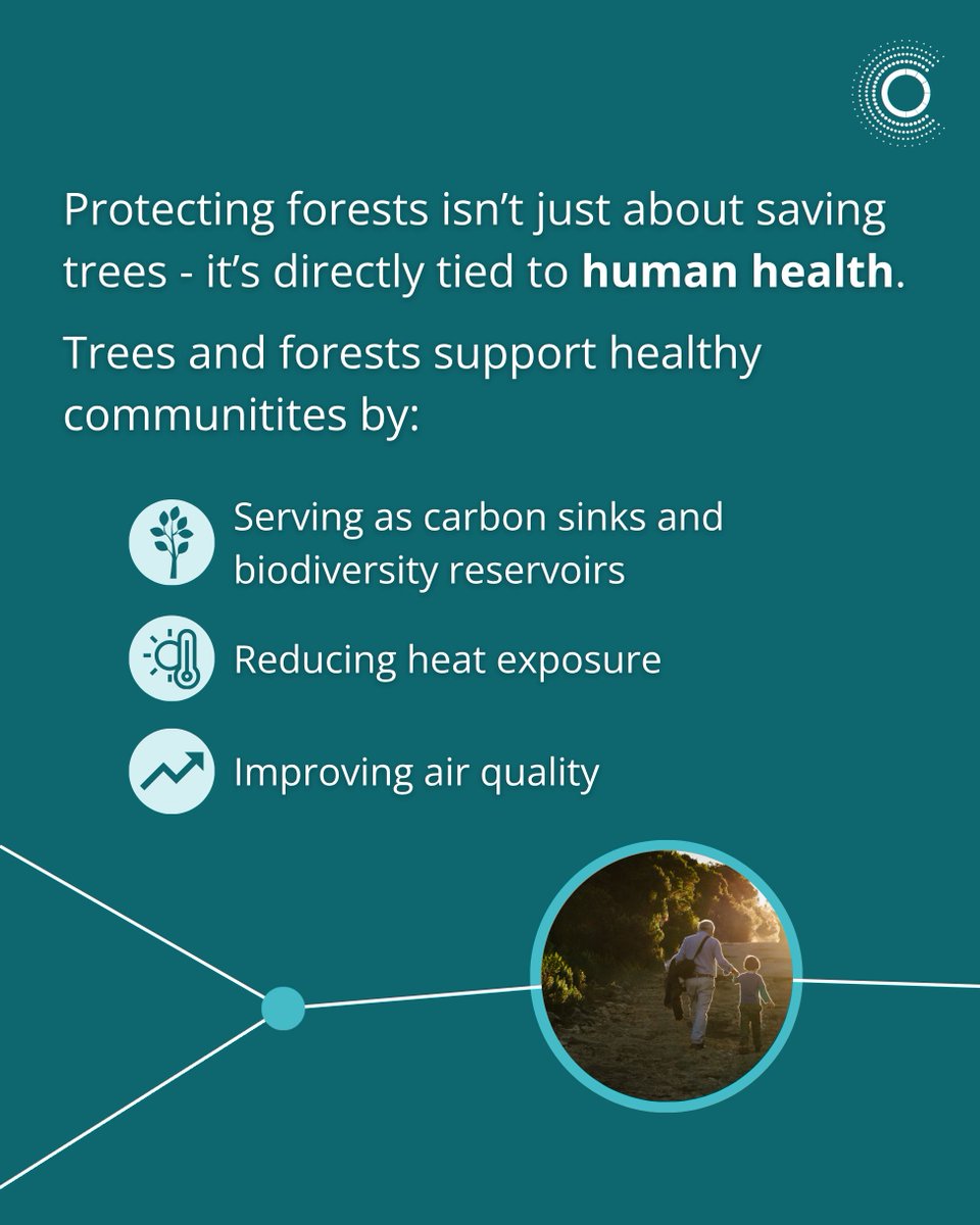 LancetCountdown's tweet photo. 🌳 On the International Day of Forests, we’re highlighting the essential role forests play in protecting public health.

Find out more at: https://t.co/Otz7gEYsnD

#InternationalDayOfForests https://t.co/OPaCOGKec8