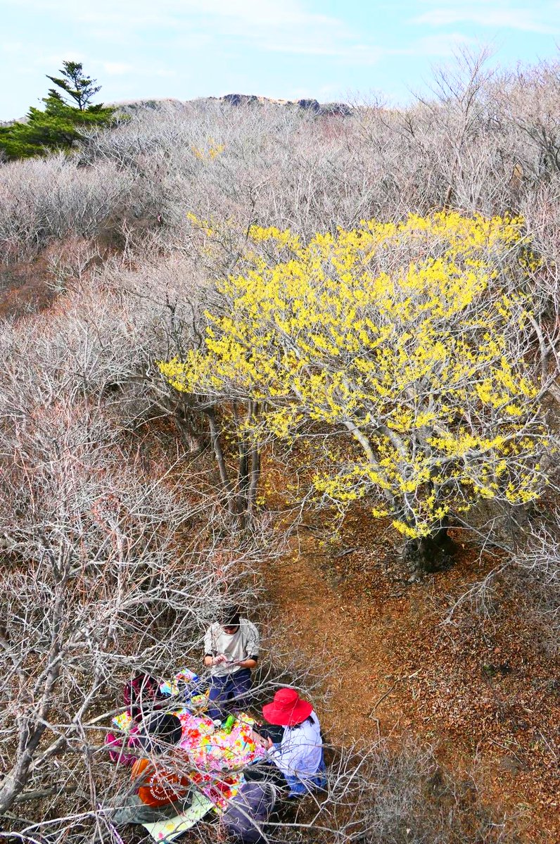 ぎいち（淀川区の小さい盆太鼓教室） tweet media