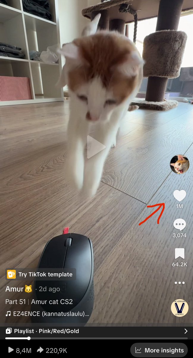 Sveta 🇱🇹 tweet media