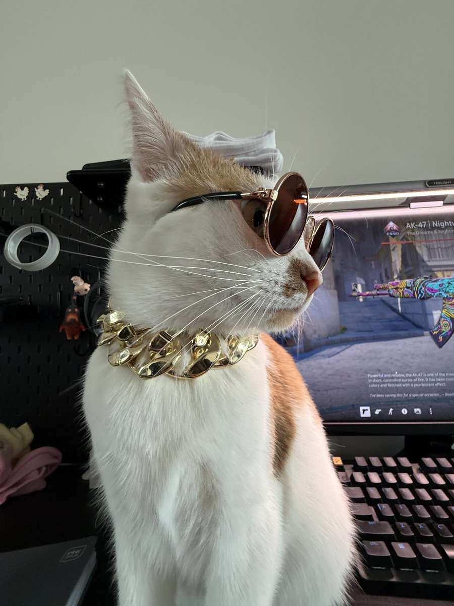 Sveta 🇱🇹 tweet media