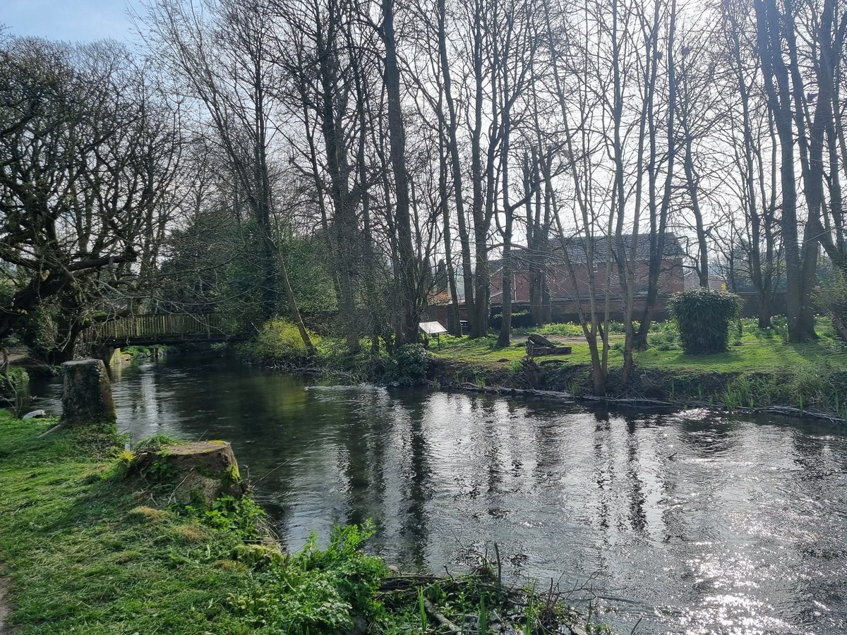 Good morning Muggles ☕️💐 Spring Equinox walk in the beautiful town of Marlborough yesterday. It's so lovely to see the sunshine 🌞 Have a great Saturday everyone 👋 #SpringEquinox2026
