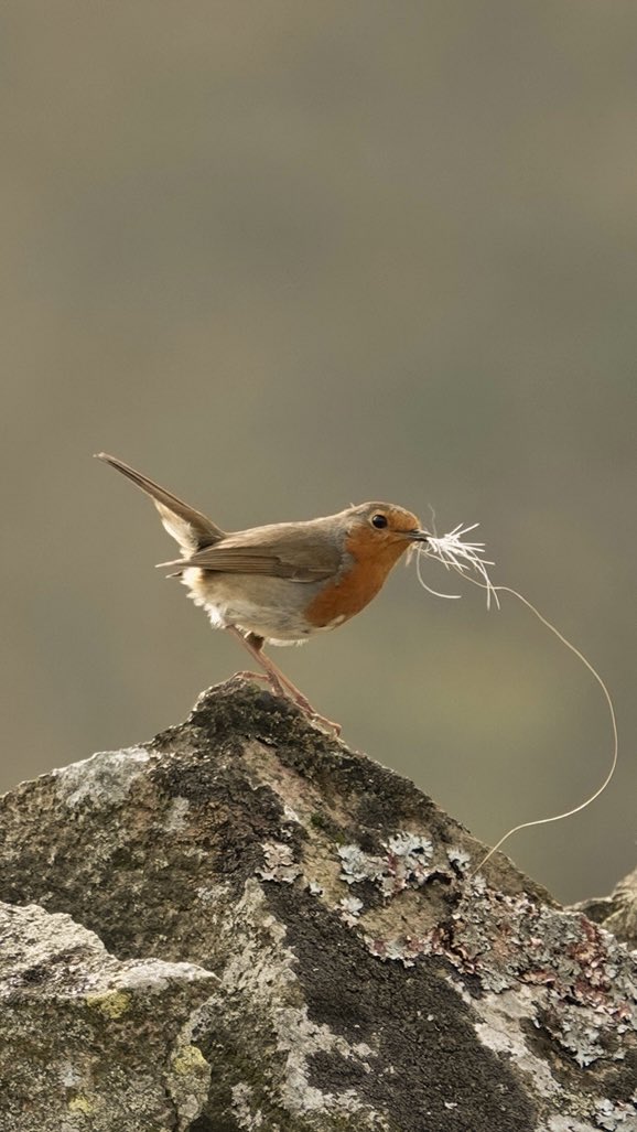 Stevelcfcw tweet media