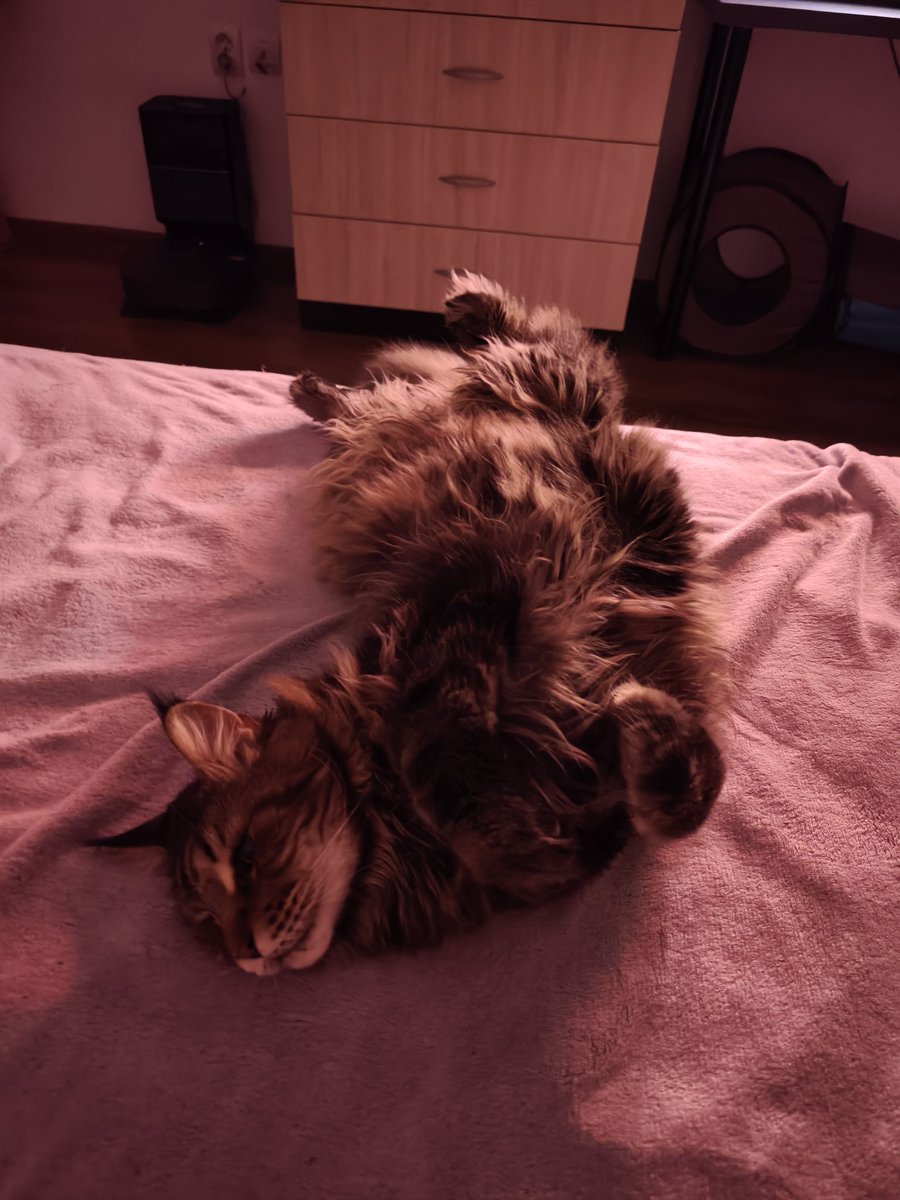 Duxtro 🔥 tweet media