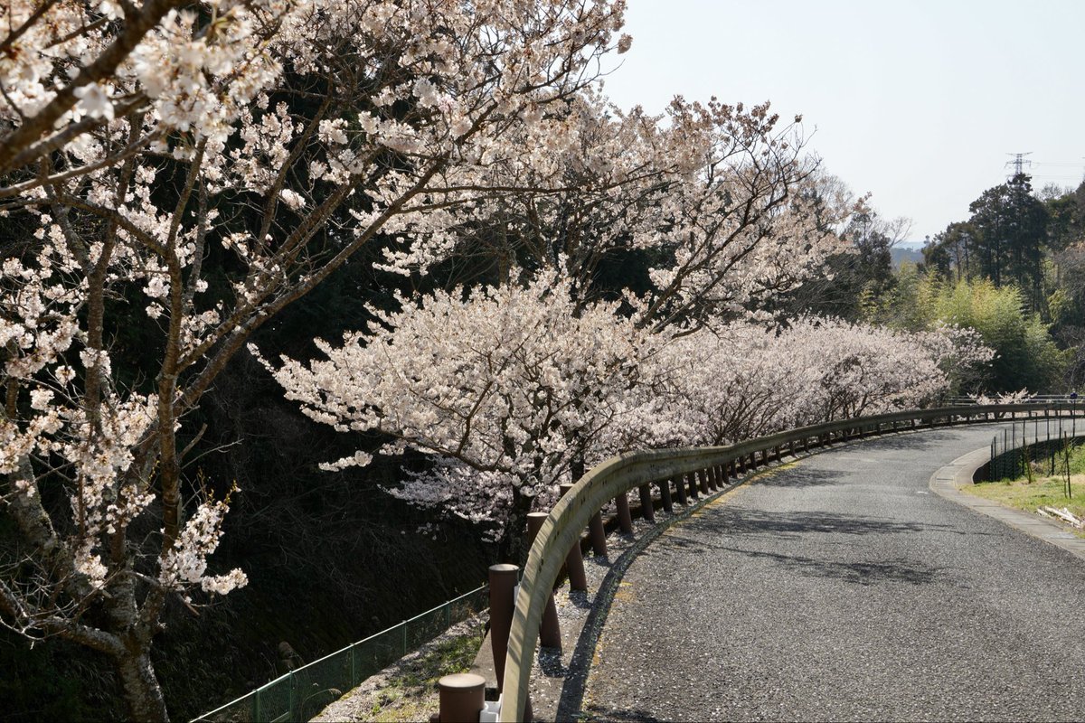 hyotanh / 秦野丹沢箱根 🏔️ tweet media