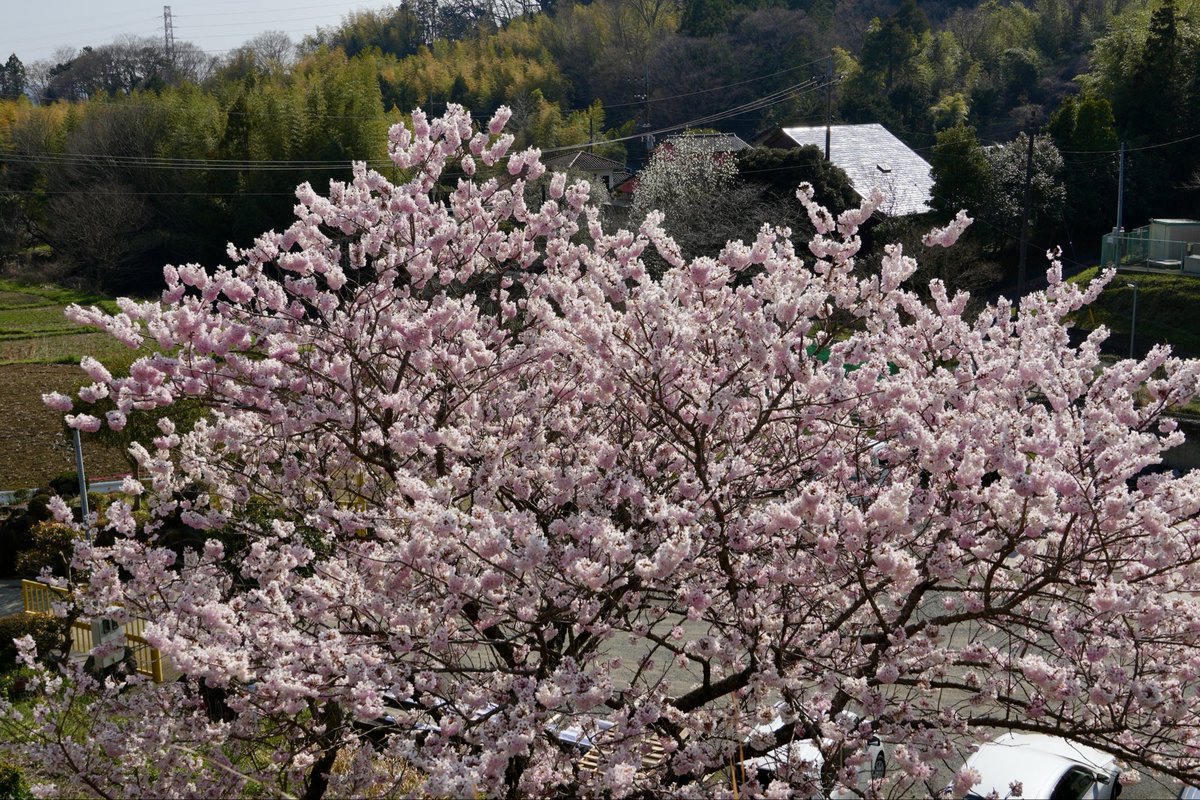 hyotanh / 秦野丹沢箱根 🏔️ tweet media