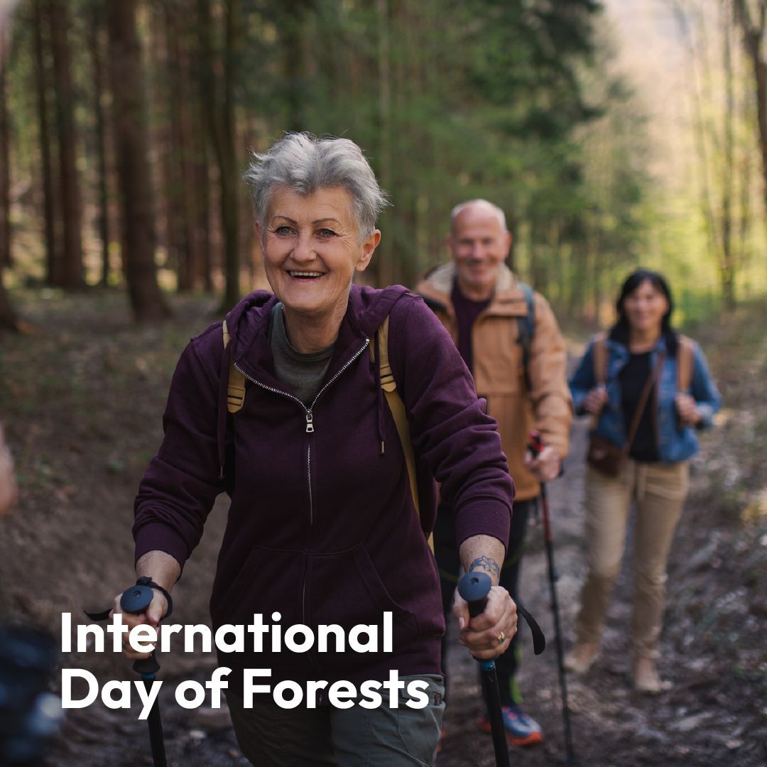 The LifeCurve tweet media