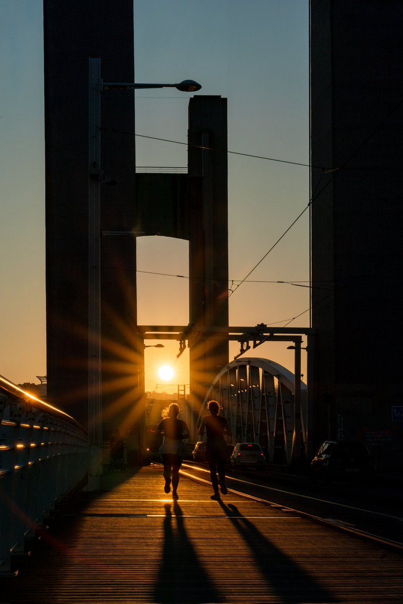 Breizhhollgaret tweet media
