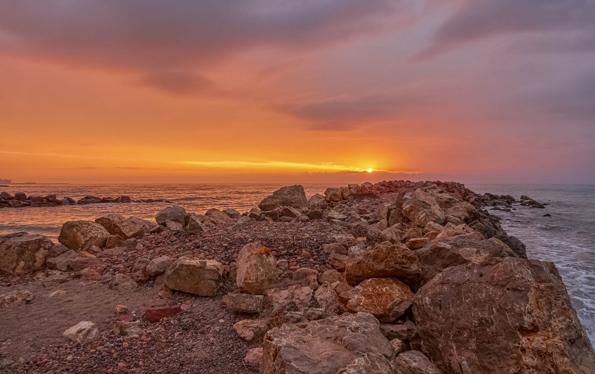 Álex Muñoz 💯 🧡 tweet media