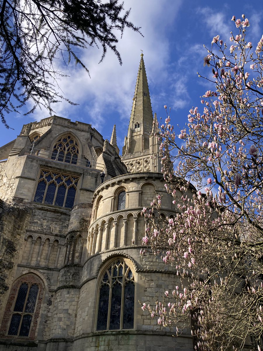 Sandy De Born tweet media