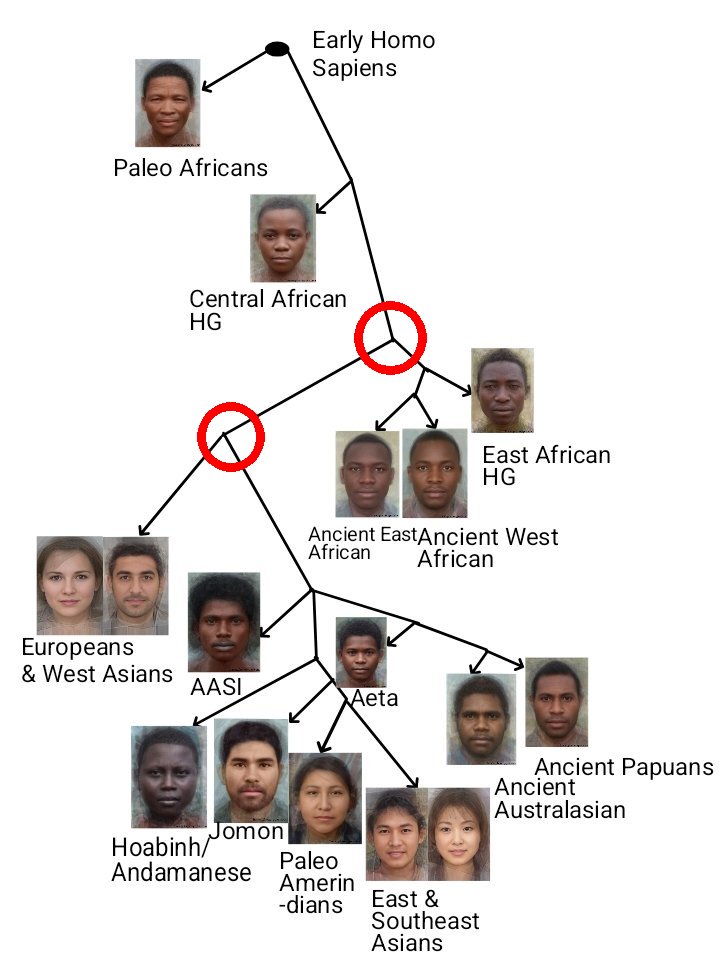 TTom 🇭🇺 tweet media