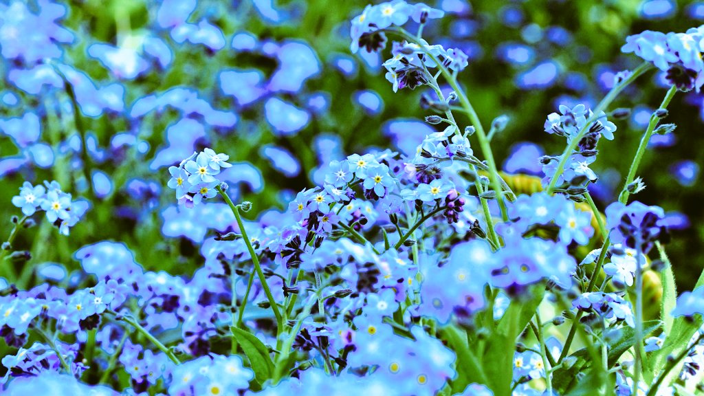 ✨ 𝓜𝓮𝓳𝓲𝓻𝓸 𝓟𝓪𝓵𝓶𝓮𝓻 tweet media