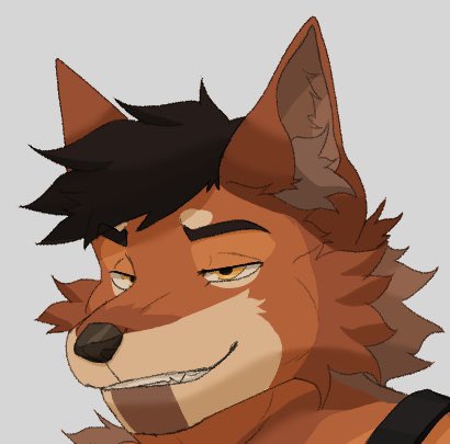 THE Airline Wild Doggy tweet media