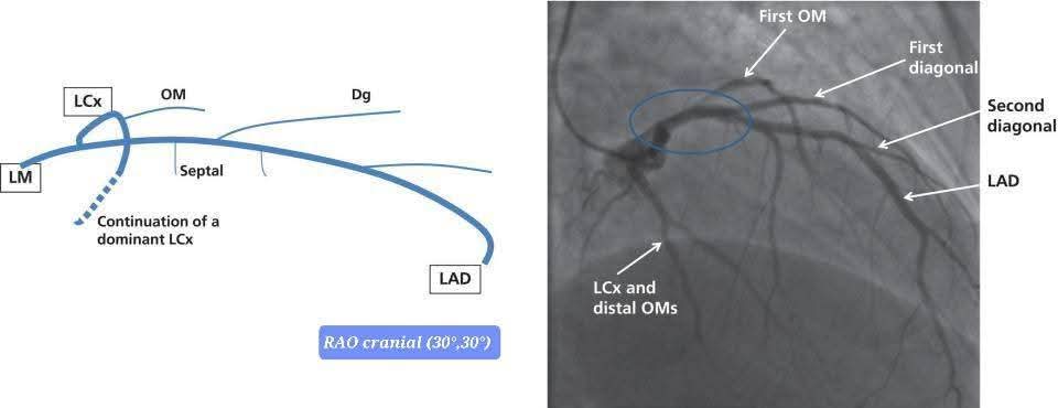 Ahmed Ata tweet media