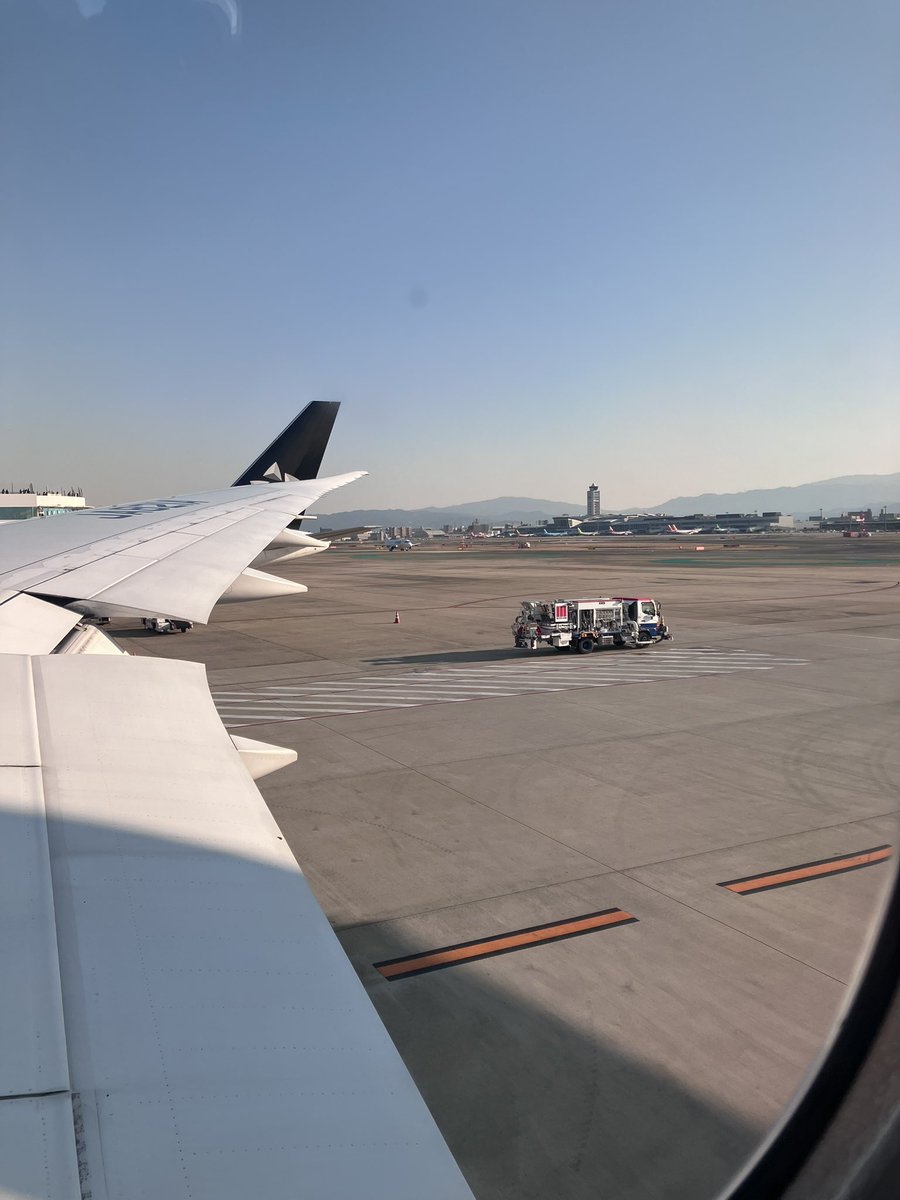 sahanna❄️ 春例と53b tweet media