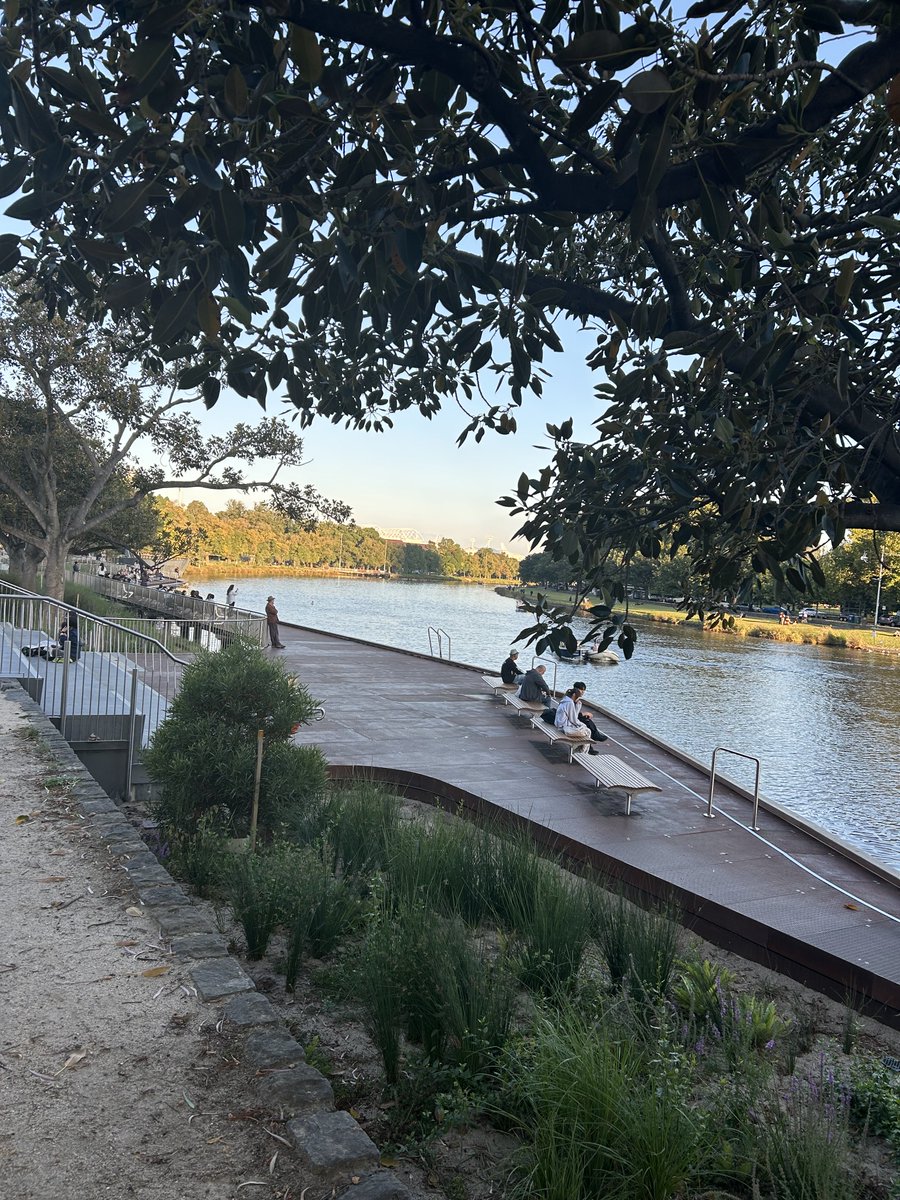 Terence McCarthy tweet media