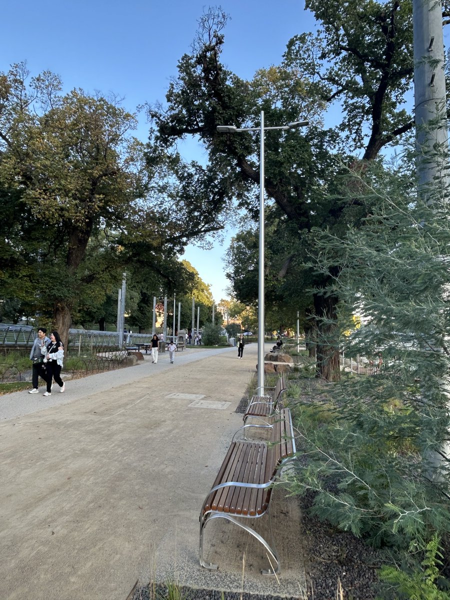 Terence McCarthy tweet media