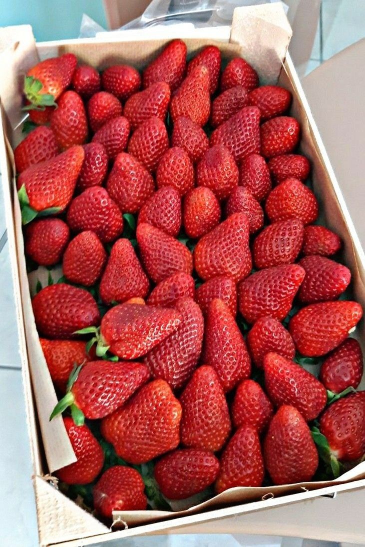 Food&healthyfruits tweet media