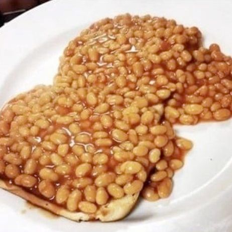 M.A. Rothman tweet media