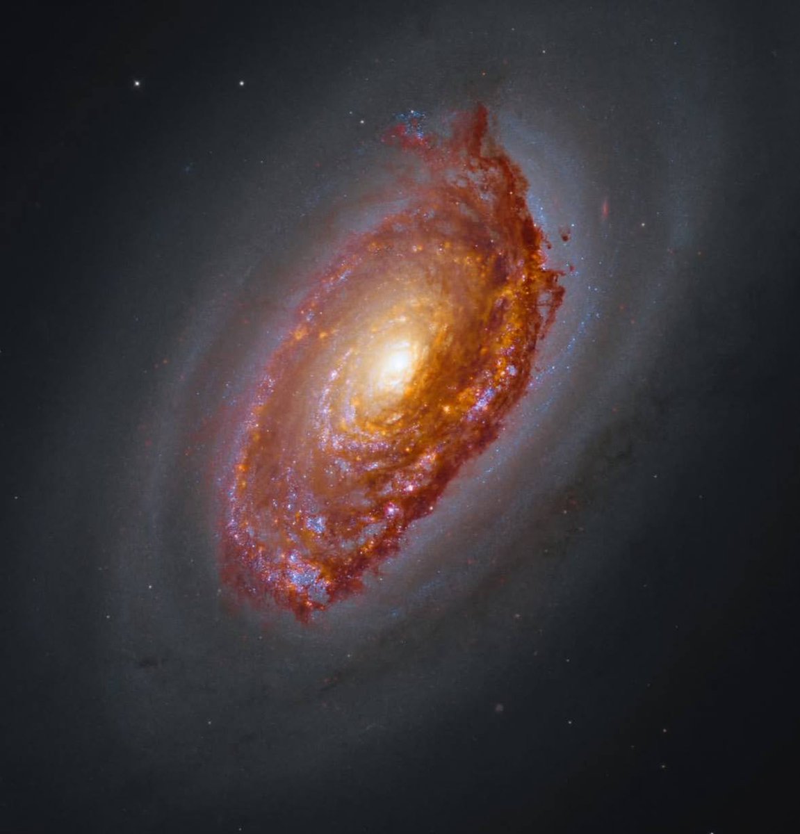 konstructivizm's tweet image. A new collaboration between Hubble and James Webb is the Black Eye Galaxy M64.

It is a spiral galaxy in the constellation Coma Berenices.
Its distance from Earth is approximately 17 million light-years.

Its apparent magnitude is approximately 9.36.