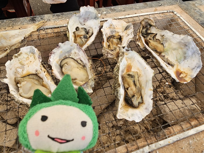 【公式】ダイナムゆったり館石川加賀店～Since.2009.8.6～ tweet media