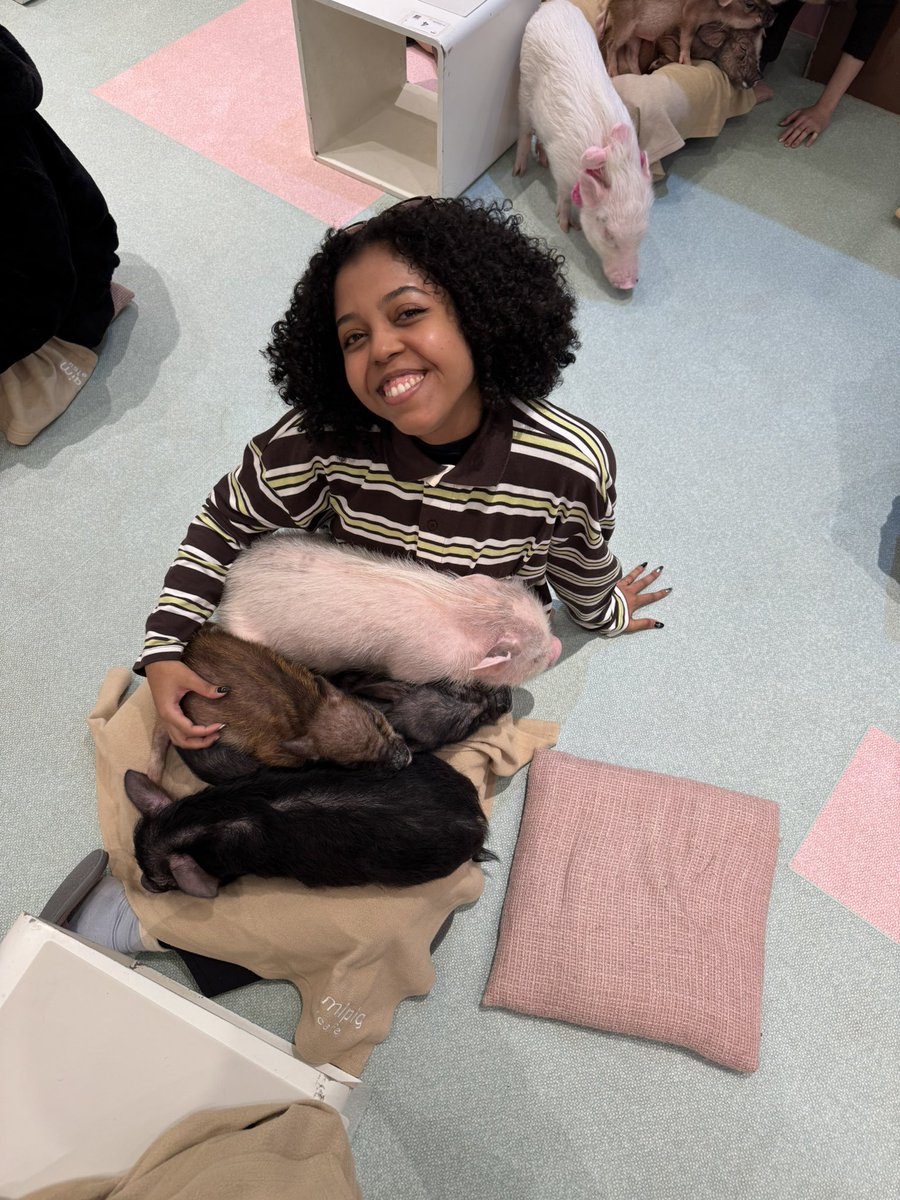 RED Óvini - 🐺 🔥 tweet media