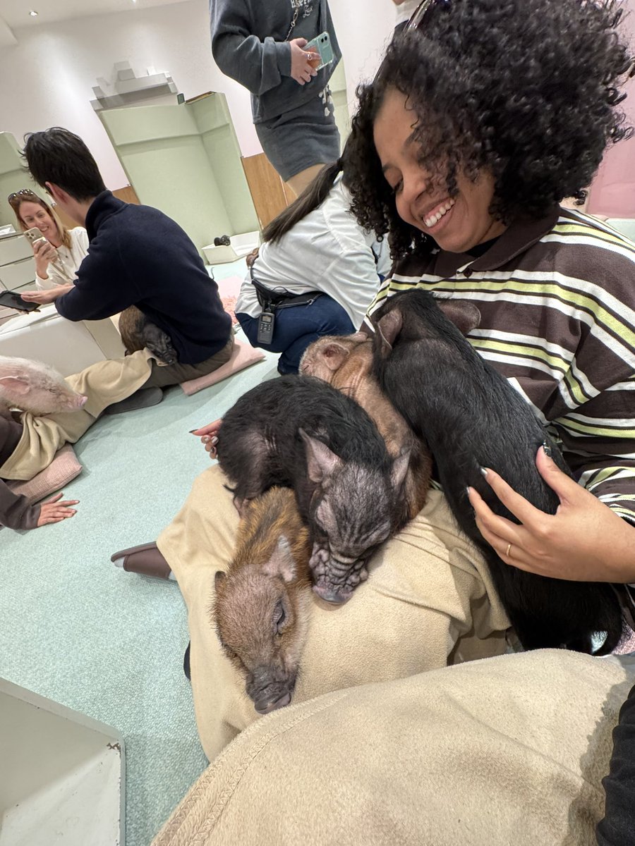 RED Óvini - 🐺 🔥 tweet media