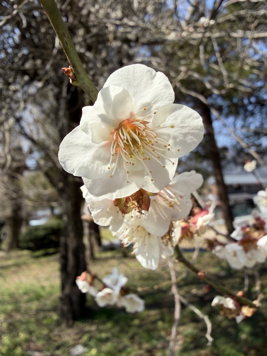 西　靖 tweet media