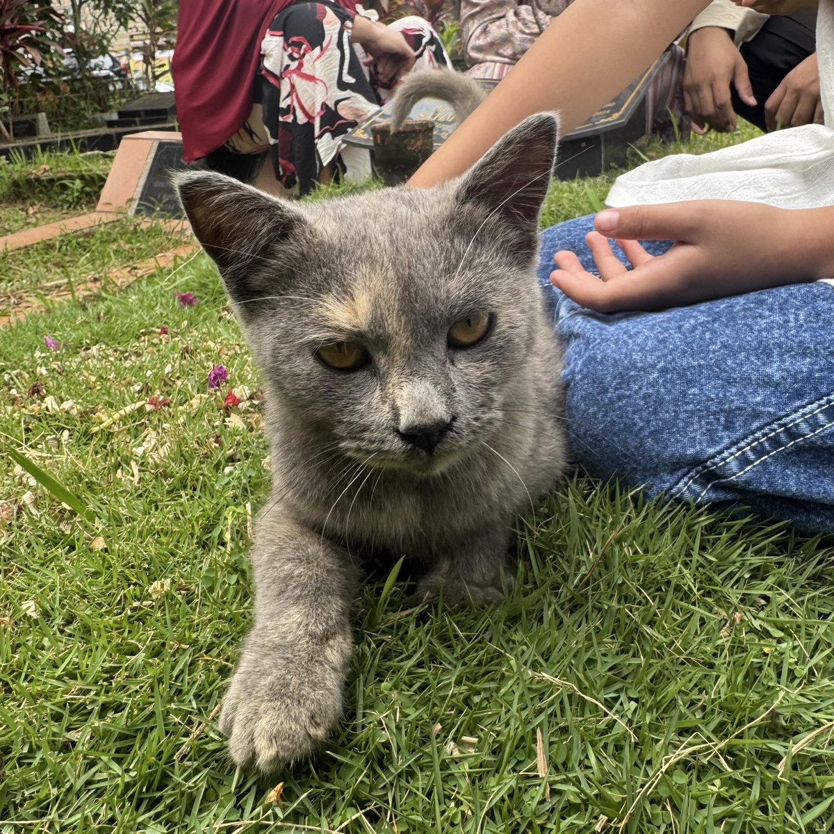 💭🍒 tweet media