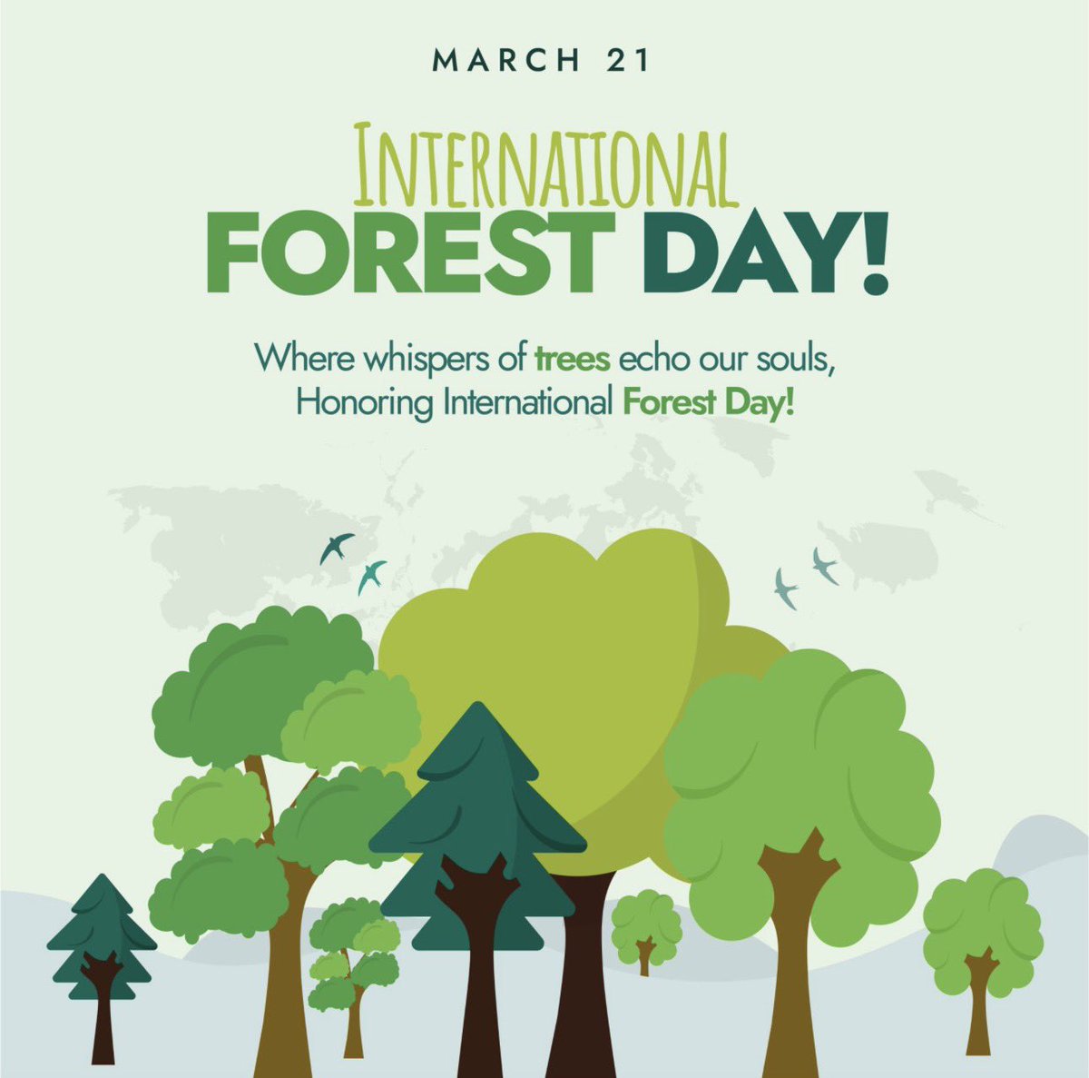 Muganzisecure's tweet photo. Today is International Day of Forests and as I walk through my coffee garden, I keep thinking about one thing we were never meant to cut down trees to grow coffee.

For a long time many of us believed that clearing land was the only way coffee (Coffea) could do well. But the more I continue farming, the more I see the opposite is actually true.

Coffee loves company. It thrives under trees in a setting that feels like a natural forest. That’s what coffee agroforestry is about growing coffee with trees not against them. The trees protect the soil, keep moisture in the ground and reduce the stress from too much sun.

But there is something even more interesting I’ve noticed. Coffee grown in this kind of environment doesn’t just survive it becomes better. The beans are richer the cup has more flavor and you can actually taste the difference. It’s slower growth yes, but that slowness brings out quality.

So instead of cutting down forests to plant coffee, we can actually grow coffee in a way that protects and even rebuilds those same forests.

For me, this is the future farming where productivity and nature move together. Where every tree on the farm is not a barrier but part of the system. 

And in bind to keep this promise, madam @Muyodi_Shakie can you link me to @GoodForestsUg we plant about 1000 trees in my next coffee project ? If yes I will glad to support the cause 
For God and my country 

Grow coffee. Keep trees. Build forests.