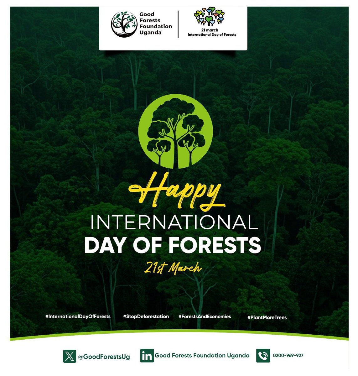 Muganzisecure's tweet photo. Today is International Day of Forests and as I walk through my coffee garden, I keep thinking about one thing we were never meant to cut down trees to grow coffee.

For a long time many of us believed that clearing land was the only way coffee (Coffea) could do well. But the more I continue farming, the more I see the opposite is actually true.

Coffee loves company. It thrives under trees in a setting that feels like a natural forest. That’s what coffee agroforestry is about growing coffee with trees not against them. The trees protect the soil, keep moisture in the ground and reduce the stress from too much sun.

But there is something even more interesting I’ve noticed. Coffee grown in this kind of environment doesn’t just survive it becomes better. The beans are richer the cup has more flavor and you can actually taste the difference. It’s slower growth yes, but that slowness brings out quality.

So instead of cutting down forests to plant coffee, we can actually grow coffee in a way that protects and even rebuilds those same forests.

For me, this is the future farming where productivity and nature move together. Where every tree on the farm is not a barrier but part of the system. 

And in bind to keep this promise, madam @Muyodi_Shakie can you link me to @GoodForestsUg we plant about 1000 trees in my next coffee project ? If yes I will glad to support the cause 
For God and my country 

Grow coffee. Keep trees. Build forests.
