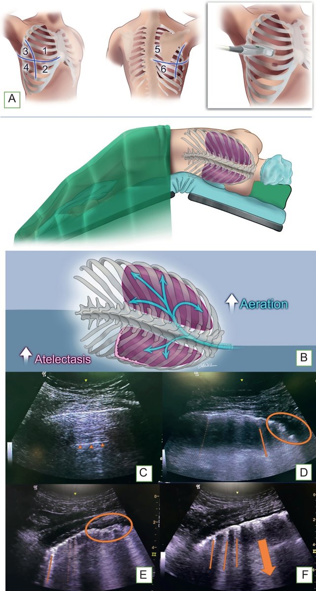 Critical Care Reviews tweet media