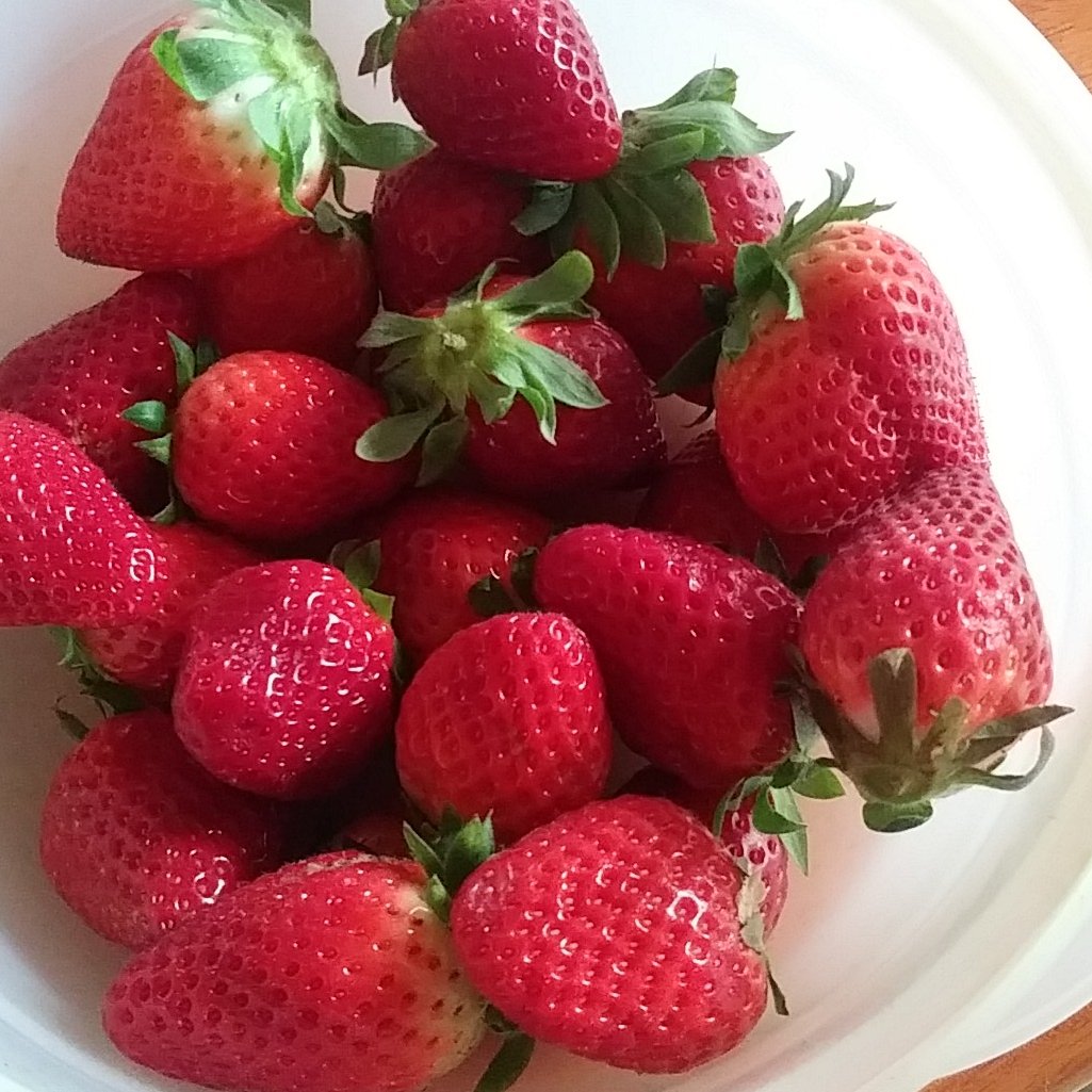 DaniaRess's tweet image. Delizie 🍓

🍀🍀🌺🌱⚘️🪻🪻🌷

#Ilovespring